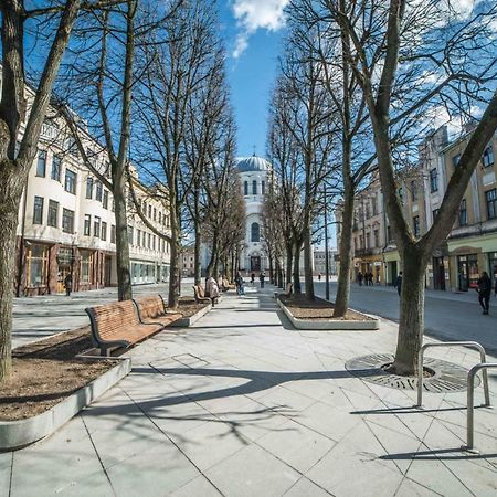 Deluxe Apartments By Hostlovers Kaunas Luaran gambar