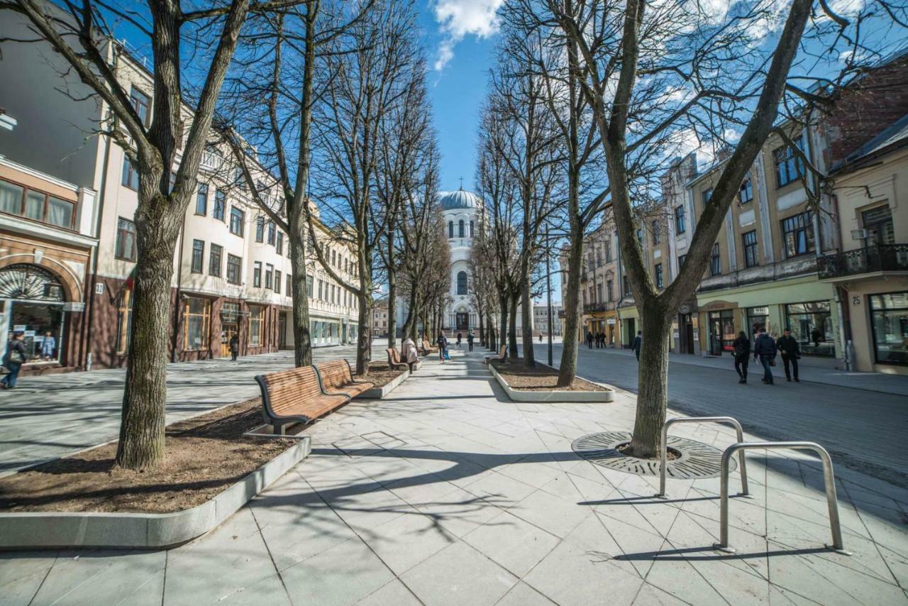 Deluxe Apartments By Hostlovers Kaunas Luaran gambar